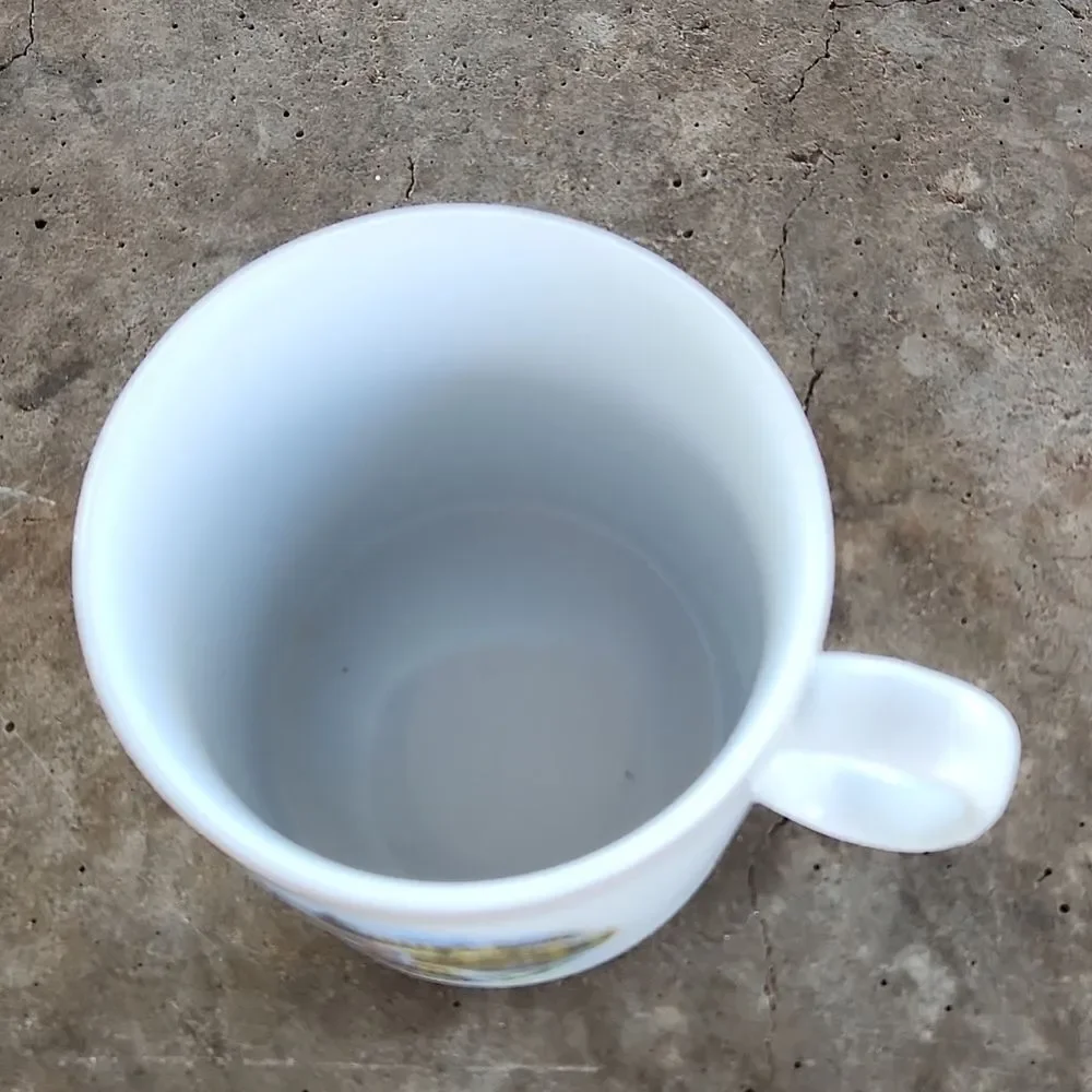 Karlsruhe Fidelitas German Football Coffee Cup